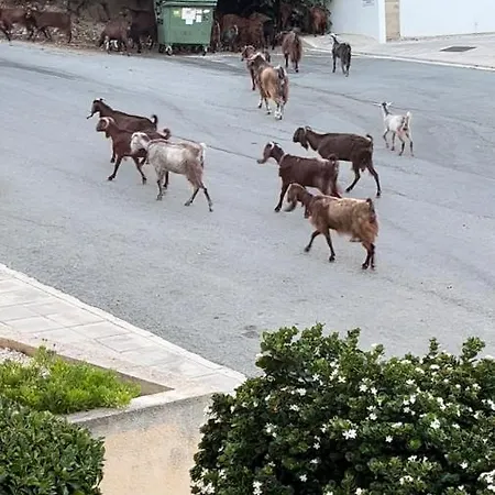 Beautiful 2 Bed In Valley, Paphos דירה *
