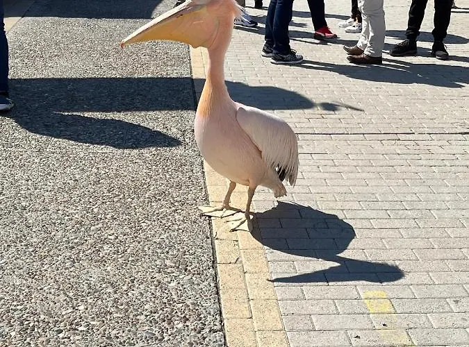 Apartament Beautiful 2 Bed In Valley, Paphos *